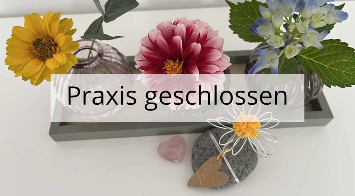 Headerbild_Petra Kuba